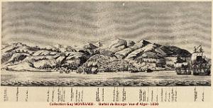 Iconographie 205